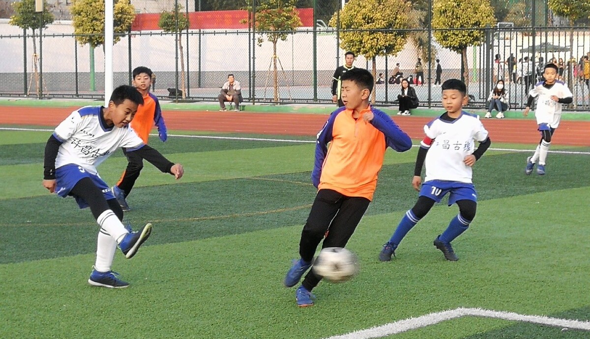 中展示了 中展示了