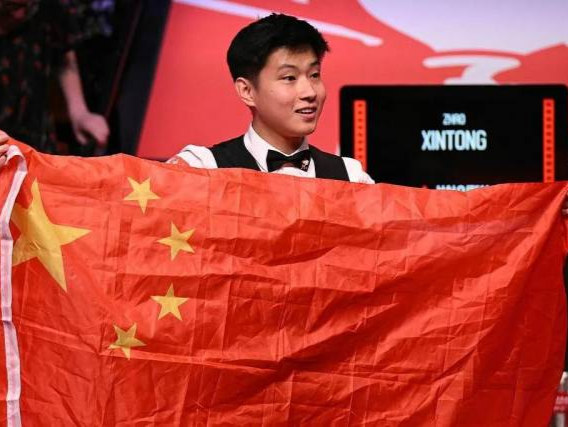 案例显示 案例显示