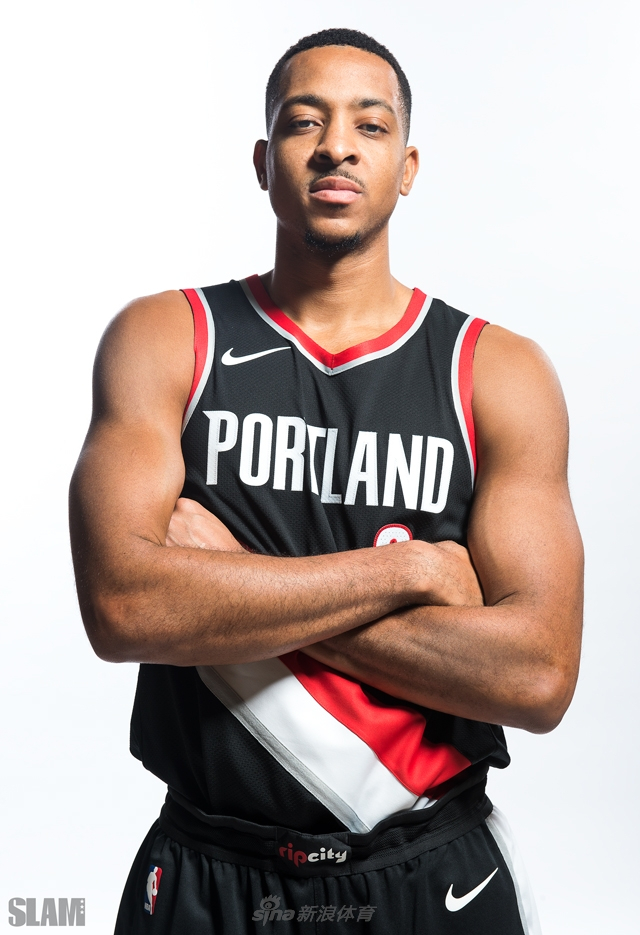 导层稳定性 导层稳定性