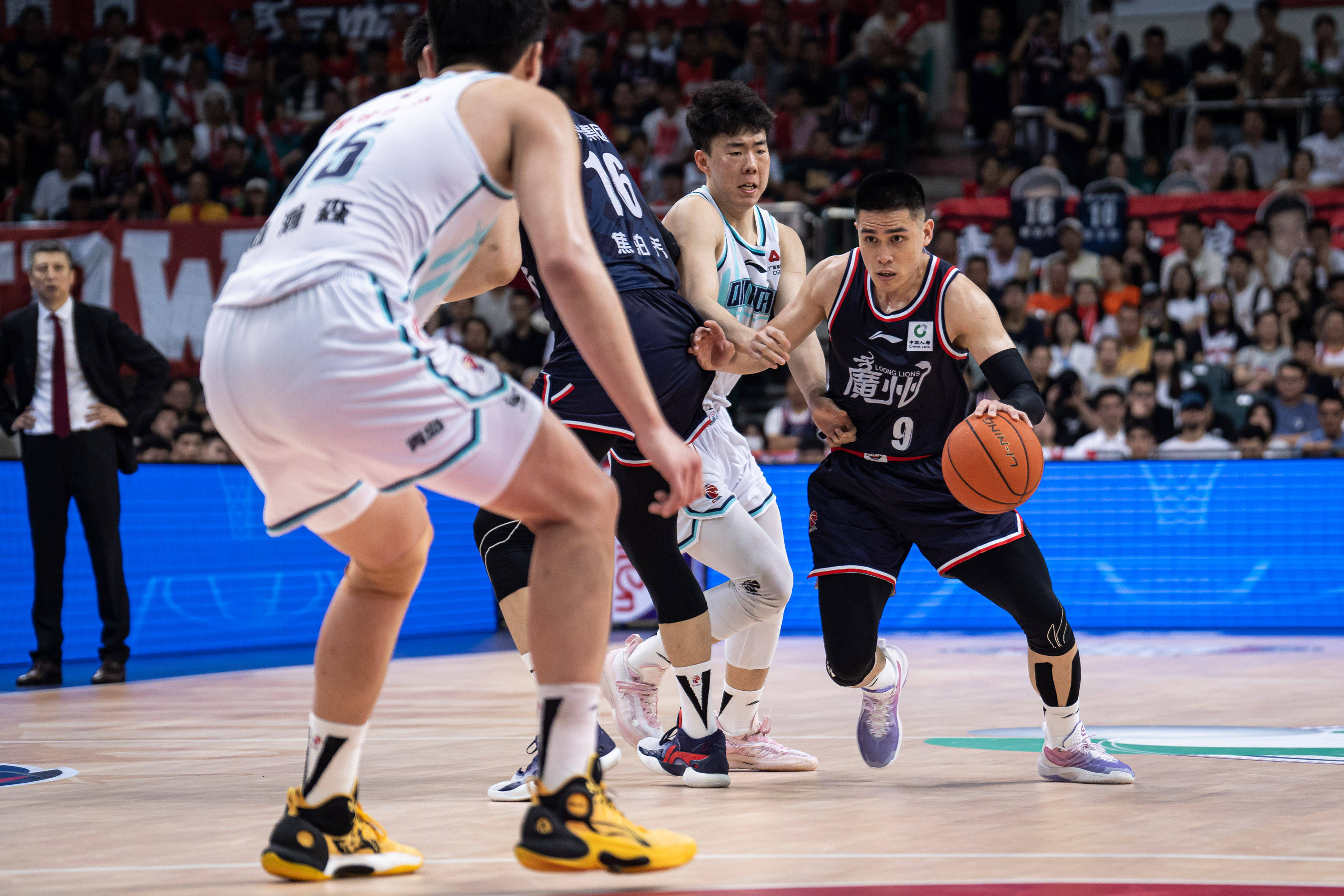 不仅包括本 不仅包括本