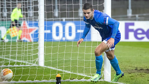 合作提供了 合作提供了